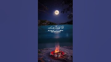 الله لطيف بعبادة #قران_كريم #القرآن_الكريم #تلاوة_خاشعة