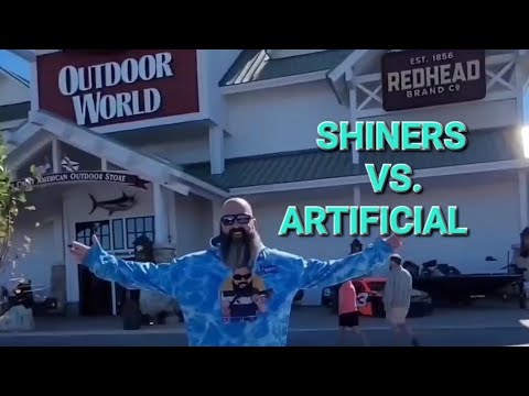 SHINERS VS ARTIFICIAL! BASS PRO SHOPS SAINT AUGUSTINE.