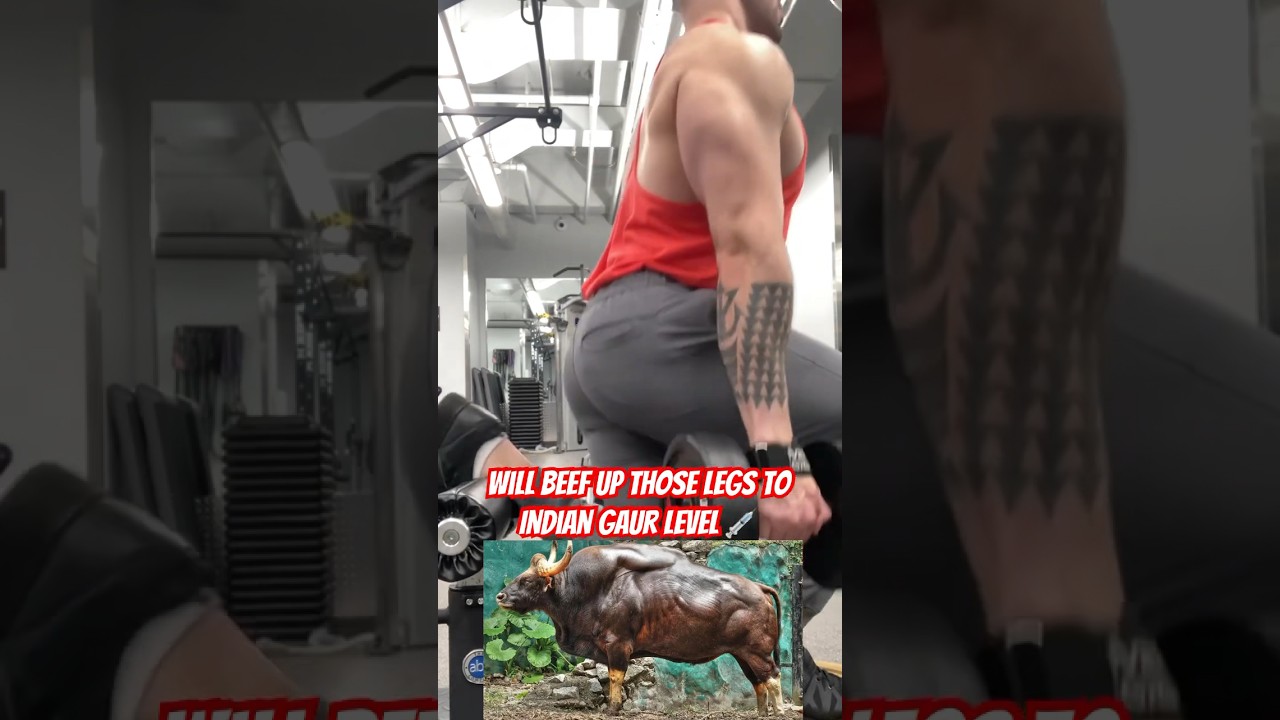 STOP Skipping This LEG Exercise!