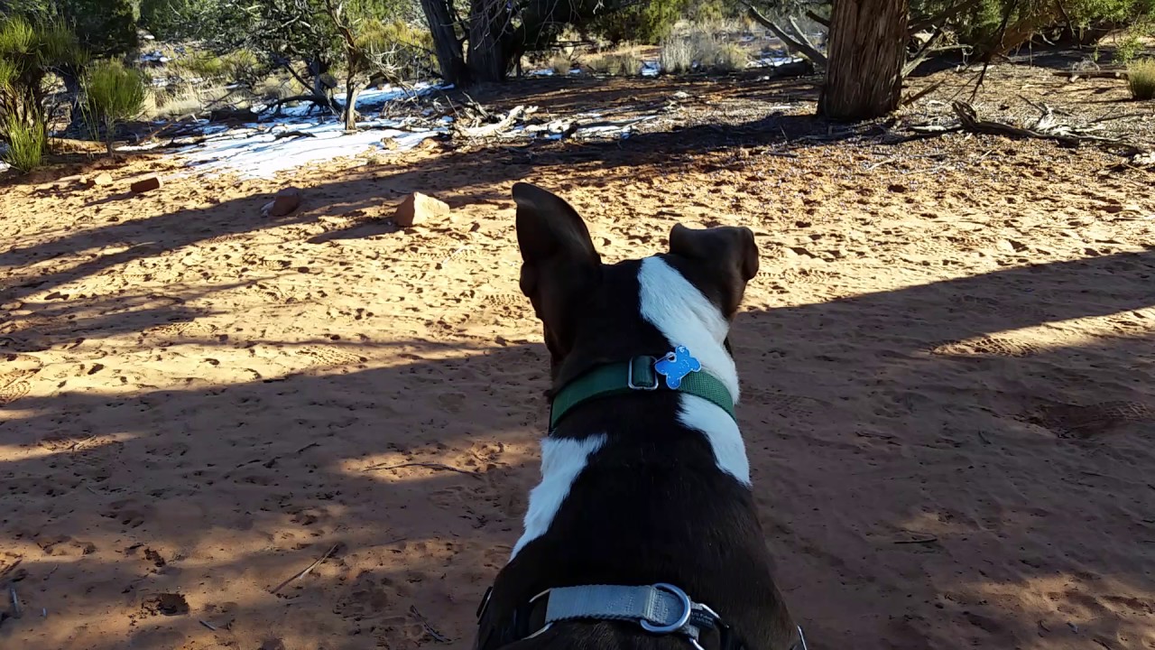 Garden Trail at Best Friends Animal Sanctuary, Kanab, Utah YouTube