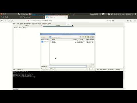 webminal ide