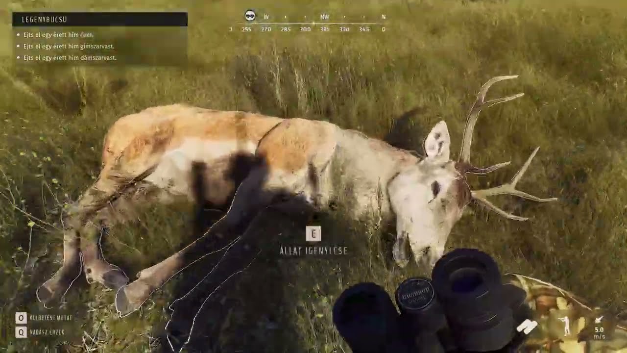 Way Of the Hunter: Reggeli Vadászat- Gímszarvas - Szürke Farkas (felébredt) - Vaddisznó - Aranysakál