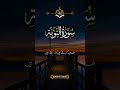 Beshak✨❤️💫 #islamicshorts #islamicstatus #viral #foryou #fypシ #quranicvibes #duet #trending