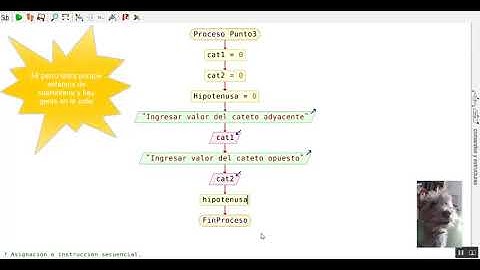 Punto 3 Calcular la hipotenusa de un triangulo rectangulo en PsInt
