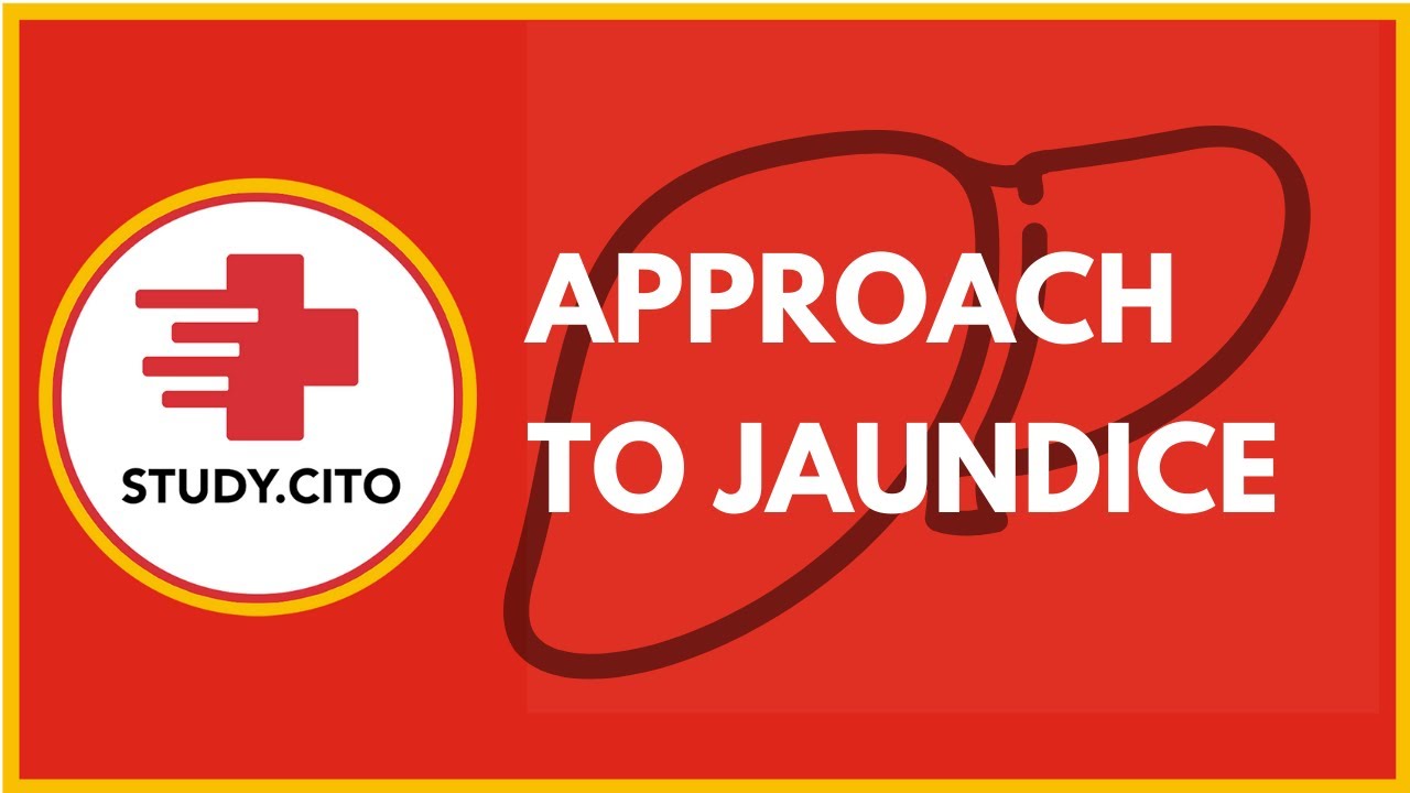 Approach to Jaundice - CITO Free Class