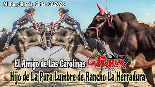 HIJO DE LA PURA LUMBRE DE LA HERRADURA EL AMIGO DE LAS CARLINAS DE RANCHO LA FURIA EN CUTLER CA 2026