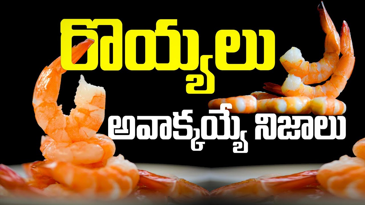 రొయ్యలు, అవాక్కయ్యే నిజాలు | Health Benefits of Prawns ( Royyalu ) | #prawns #royyalu #healthtips