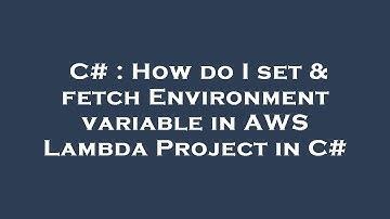 C# : How do I set & fetch Environment variable in AWS Lambda Project in C#
