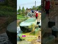 Esta piedra de oro verde es una de las más raras de China #descubrir