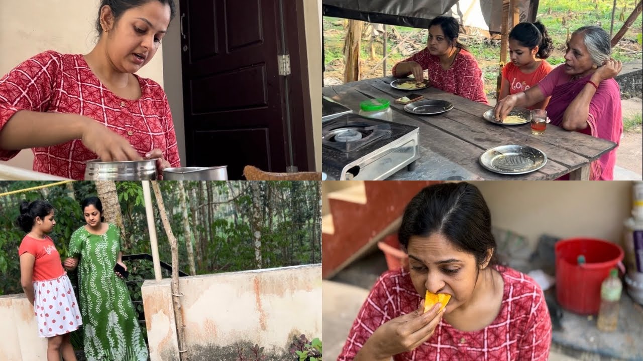 കള്ളിക്കാട് വീട്ടിൽ നിന്ന് ഇന്ന് പോയി#ഇനി കുറച്ചു നമ്മുടെ വീട്ടിലെ വിശേഷം കാണാം#sreekutty#familytime