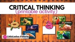 Critical Thinking worksheets Print and play Little Ladoo