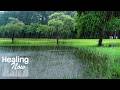 Refreshing Lake And Rain Sounds Relieve Stress With White Noise While Enjoying The Beautiful Park