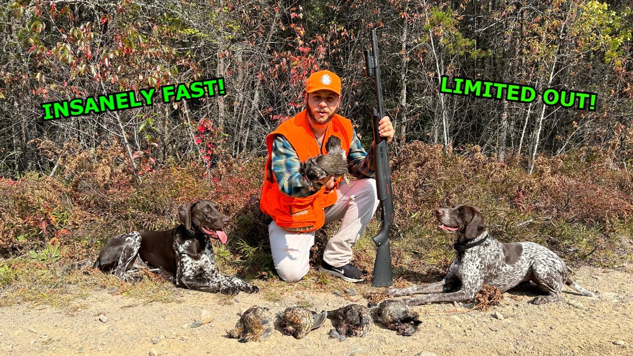 15 Minute LIMIT While GROUSE HUNTING!!! YouTube