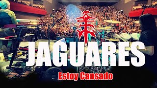 Watch Jaguares Estoy Cansado video