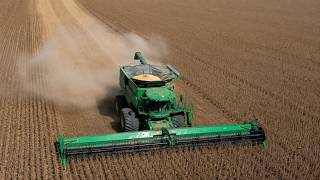 Information America’s Soybeans Aren’t Leaving Whole Anymore. Update