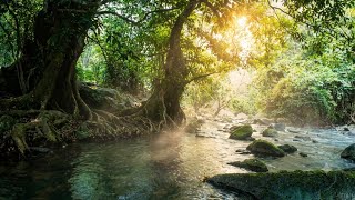 Fall Asleep Fast 🌊 Tropical River Dawn | Morning Jungle ASMR for Deep Sleep & Insomnia
