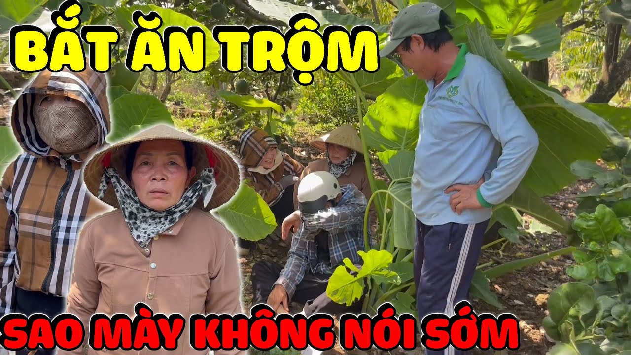 Cả Nhà Hải Ka Vây Bắt Thằng Ăn Trộm Và Cái Kết | Hải Ka Vlogs