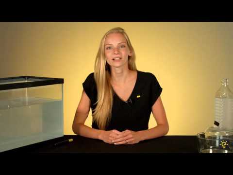 Total Internal Reflection