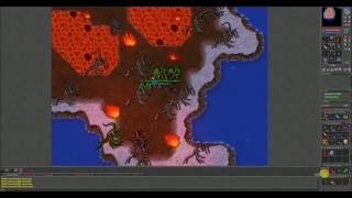 Famous Tibia - Draconia Dragon Raid Wealth