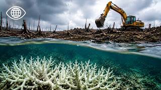 Le Business Vert Cache-t-il une Catastrophe Mondiale ? Documentaire Environnement - AMP