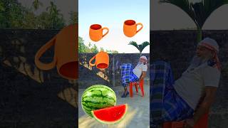 Rounding cups to Grapes, Mango, lichi & Watermelon - Fruits names magic video