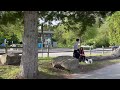 Stanley Park in Canada Vlog | Canada Vlogs | Places to Visit in Canada #stanleypark