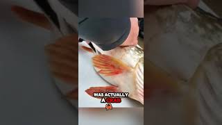 Fishermen amazing discovery