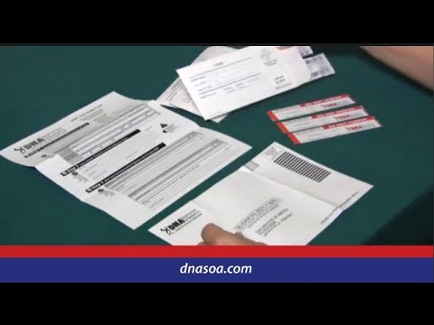 Home DNA Paternity Test Kit | DNA Services of America