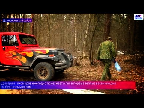 Как собирать березовый сок, репортаж телеканала 360, с Дмитрием Тихомировым
