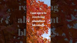 Open to Abundance: Embracing the Flow of Blessings