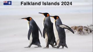 The Falkland Islands - a Wildlife and Battlefield Adventure on 4 Islands