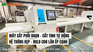 Máy Cắt Phôi Đoạn - Cắt Tinh Tự Động - WOODMASTER - WM-24CFS