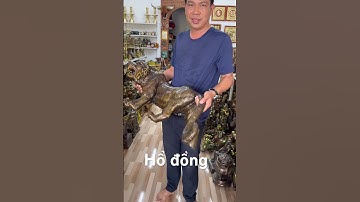 Hổ đồng #đồcổcầnthơ #dogothuhuyen #đồcổ
