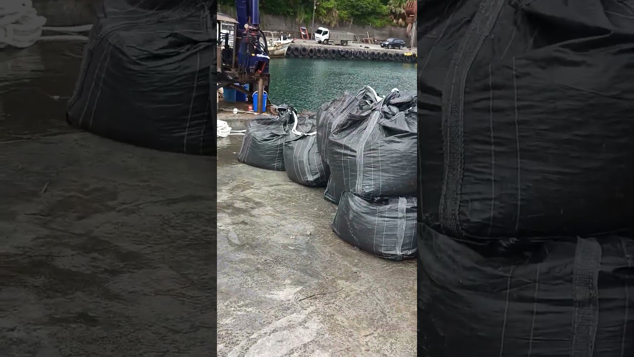 【心臟爆擊】今天漁船是載著「海中紅金」回來的!活跳跳的紅魽大軍,畫面太震撼! 光榮定置漁場 #freshfish #freshseafood 0 0 09 27 2025 Sep 1758927574 縮圖