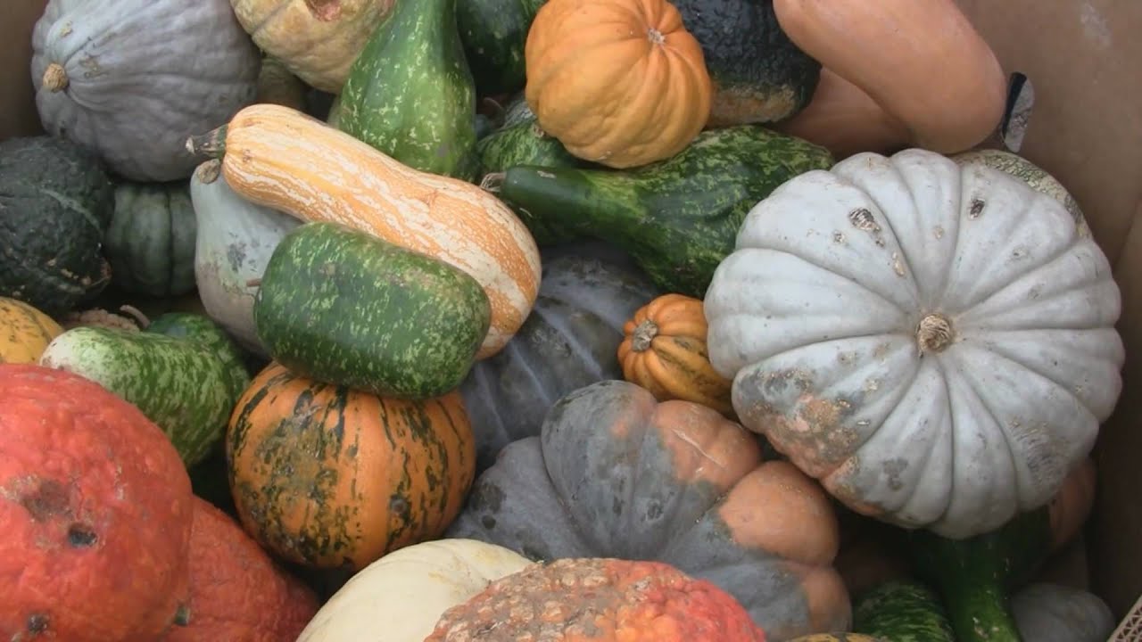 Wilson Farms 2009 10 31 YouTube