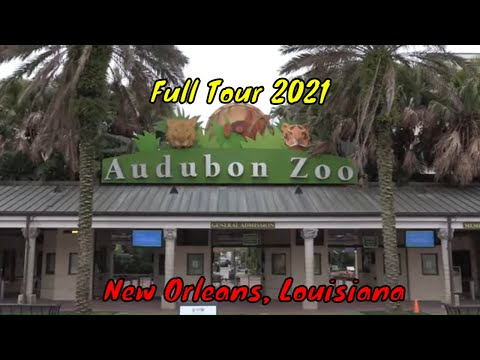 Video: New Orleans Audubon Zoo (timmar och festivaler)