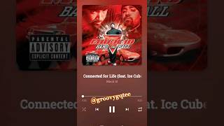 Mack 10 - "Connected For Life (feat. Ice Cube, WC & Butch Cassidy)" #Music Net Worth