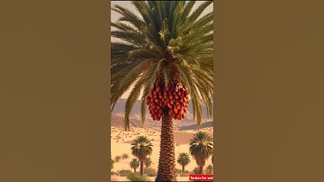 The monkey and his child planted a banana tree 😭 #ai #monkey #tree