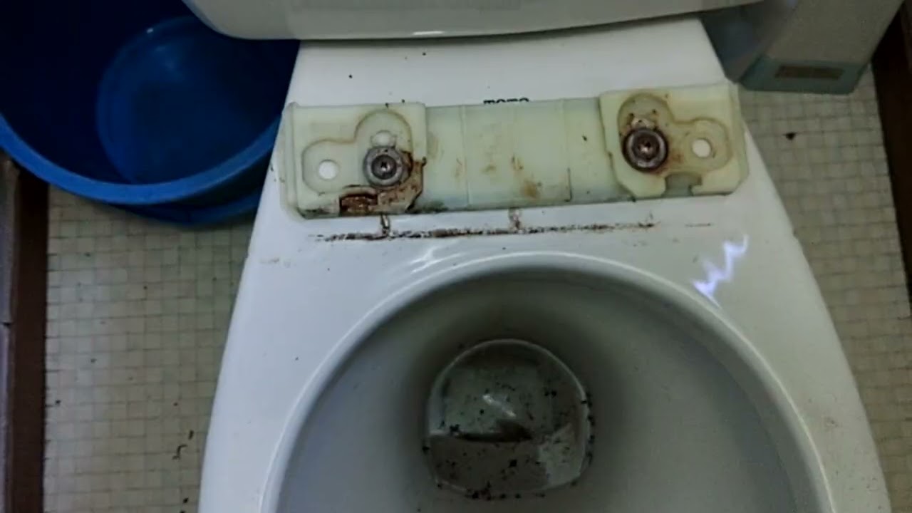 令和8年2月19日2Fの便座を以前のに入替え