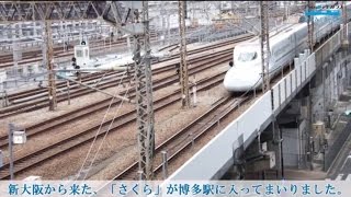 #41「新商品の実車を見に行ってみた#1」プラレールアドバンス やってみ！ターミナル