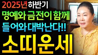 ✨2025년 하반기 소띠운세✨인생이 바뀝니다 금전운 대박나는 소띠에게 생길 운명과 평생운 소띠 61년생 73년생 85년생 97년생 소띠운세 명예운 문서운 사업운 재물운 금전운 대박