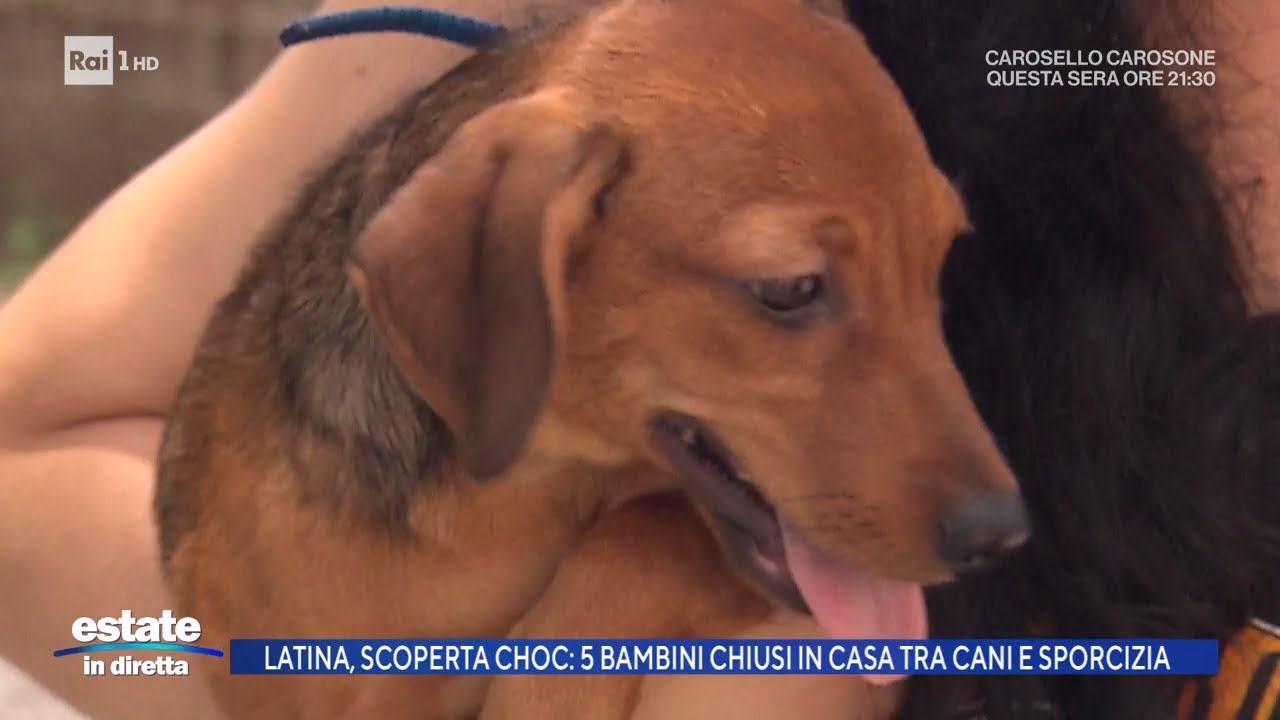 Latina, soperta shoc: 5 bambini chiusi in casa tra cani e sporcizia - Estate in diretta - 25/08/2025