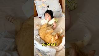 #cat #cute #catvideo #cutecat #funnyvideo
