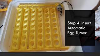 Embryology-Setting up the Incubator