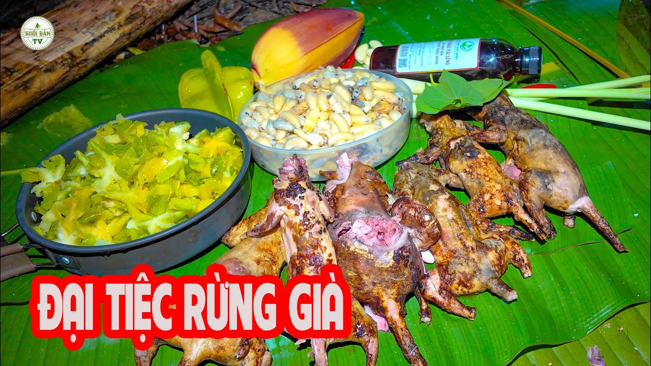 Đại Tiệc Rừng Già – Báo Thù Ong Đất   ✧ Suối Bản Tv