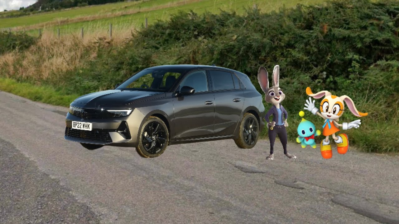 История Джуди