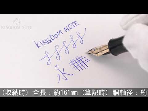 PLATINUM プラチナ 万年筆 #3776 ギャザード ブラック 細字