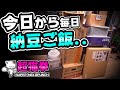 Amazonプライムデーで買ったもの紹介！超猫拳の散財自慢 [周辺機器][アマゾンセール2021][prime day]