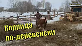 Семья Фетистовых