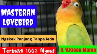 Masteran Lovebird Paling Dicari Audio Lovebird Ngekek Panjang 1 Jam Tanpa Jeda Terbukti Ampuh